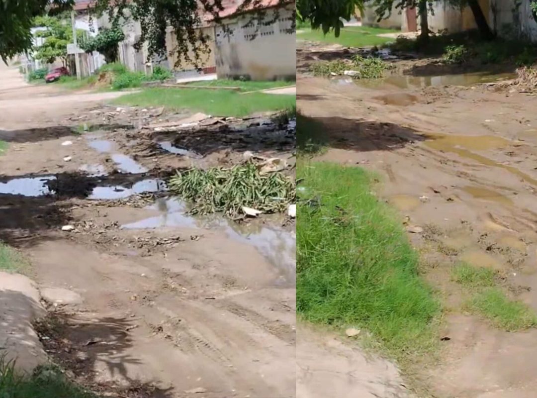 656006225_1423647759443966_9147564185202237106_n-horz