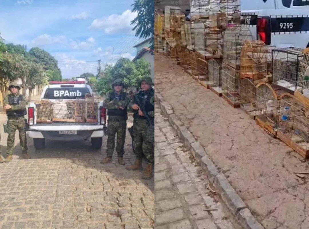 89e96190230ce6a19e6c322484ea436e