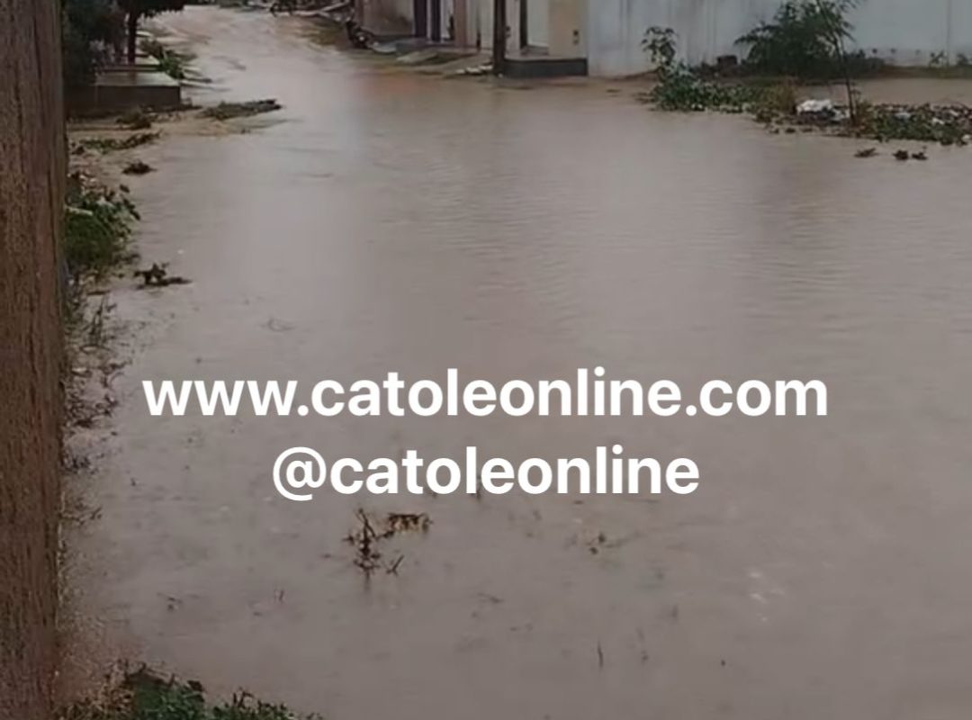 ef18b1a8-74a7-4544-9a56-68ae6eb425a7