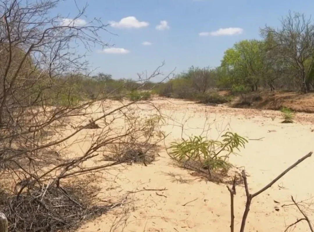 estiagem-seca-800x500